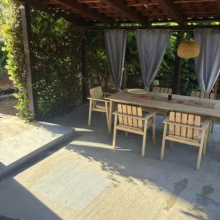 Tea Daire Zadar